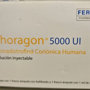 Choragon