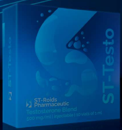 Testo 500 ST